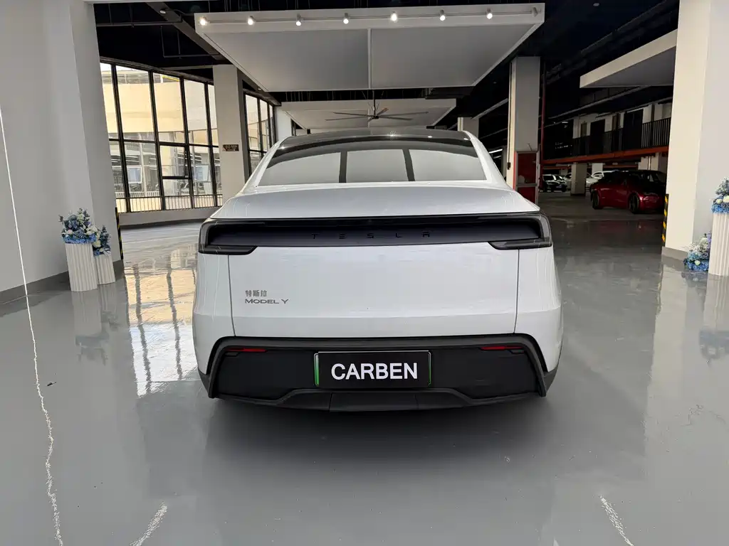 Tesla Model Y — фото 14