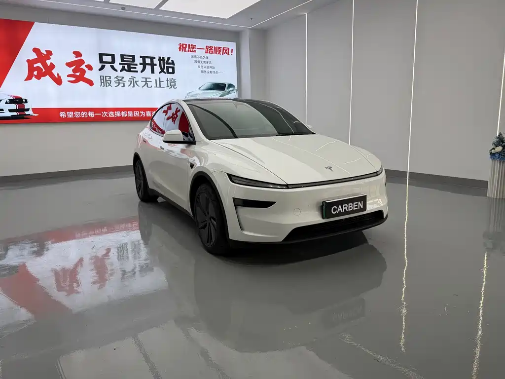 Tesla Model Y — фото 3