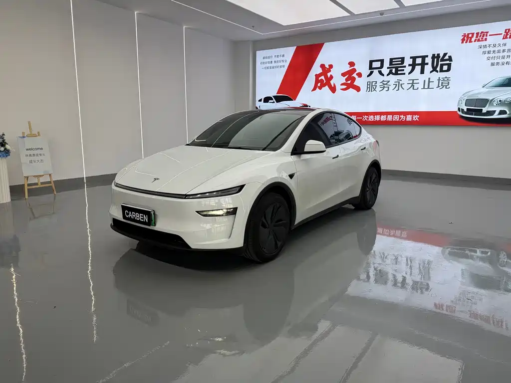 Tesla Model Y — фото 1