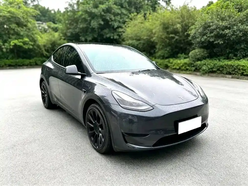 Tesla Model Y — фото 3