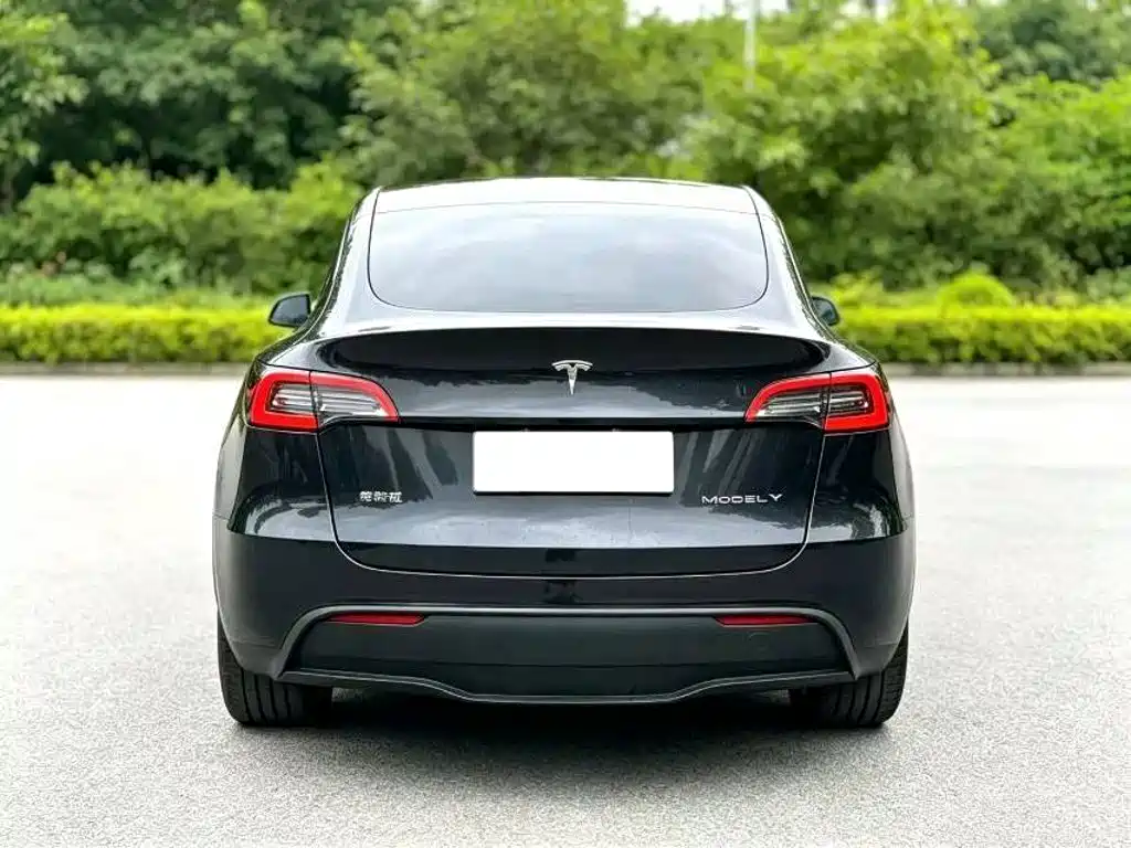 Tesla Model Y — фото 8
