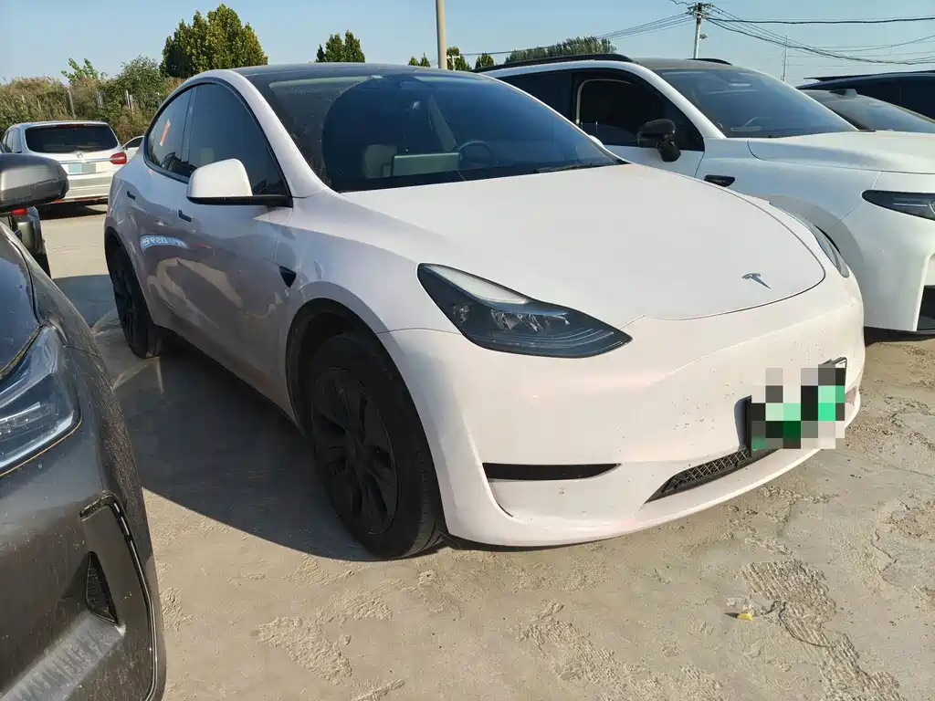 Tesla Model Y — фото 3