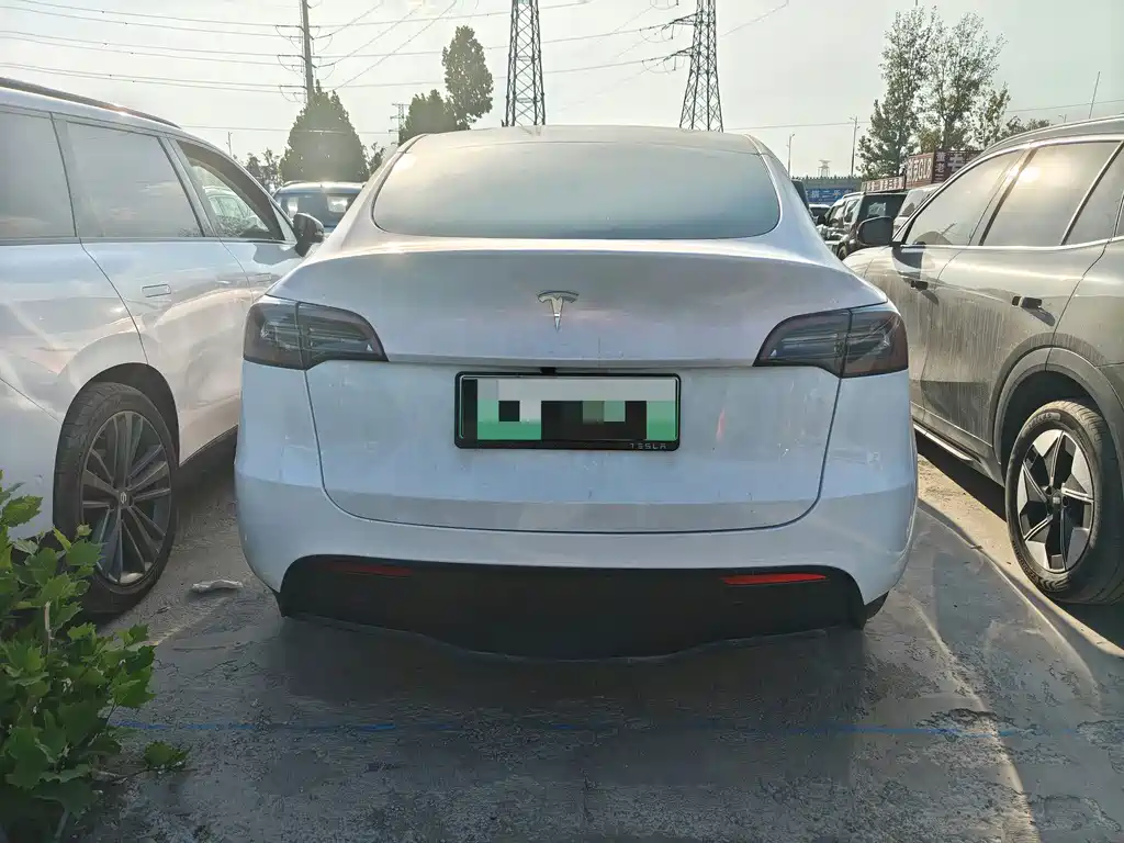 Tesla Model Y — фото 8