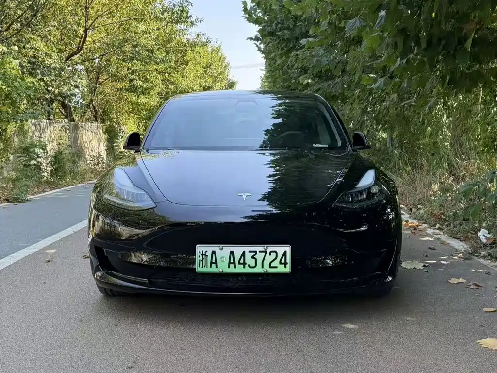 Tesla Model 3 — фото 2