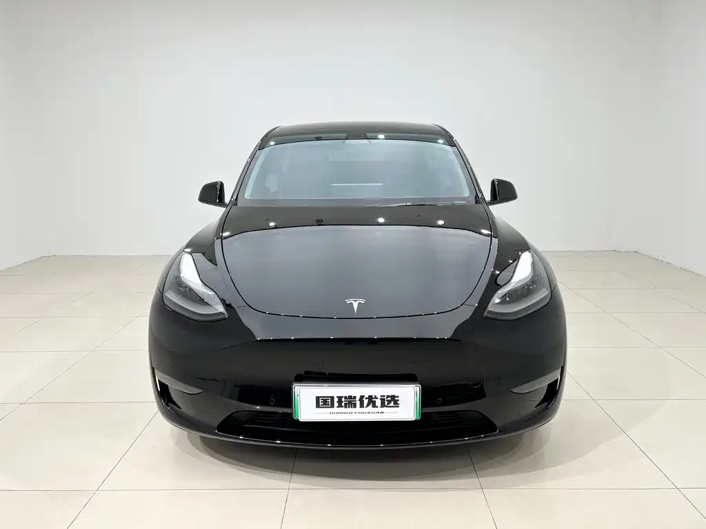 Tesla Model Y — фото 2