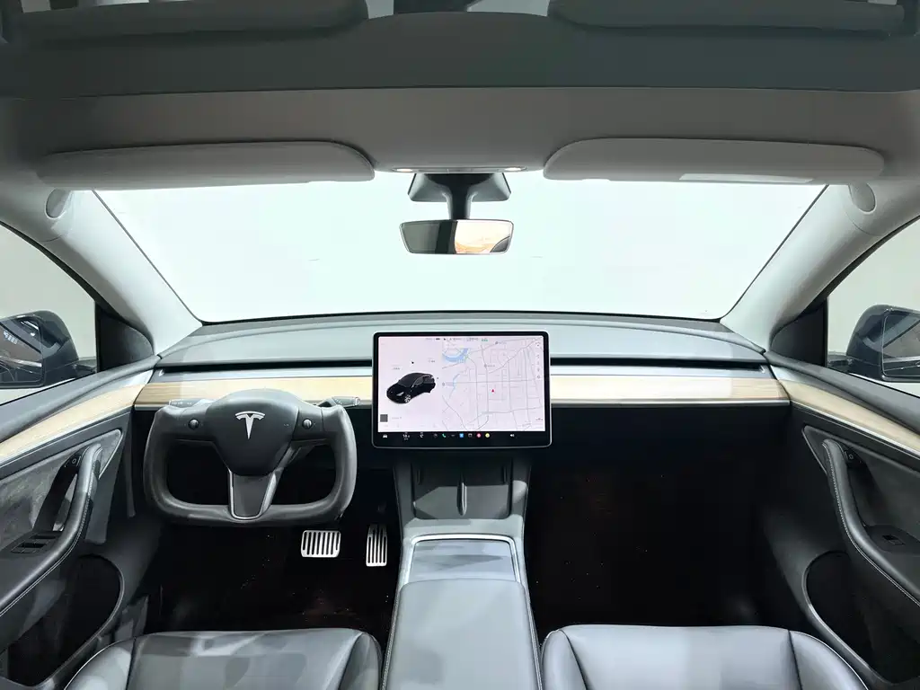 Tesla Model Y — фото 11