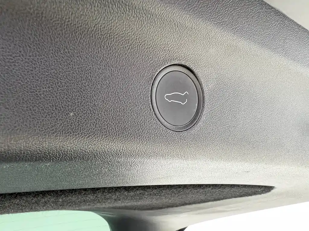 Tesla Model Y — фото 19