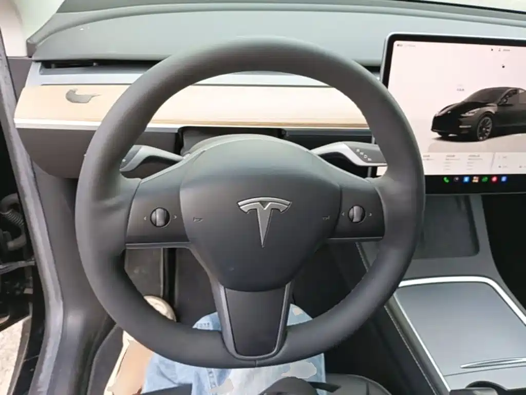 Tesla Model Y — фото 11