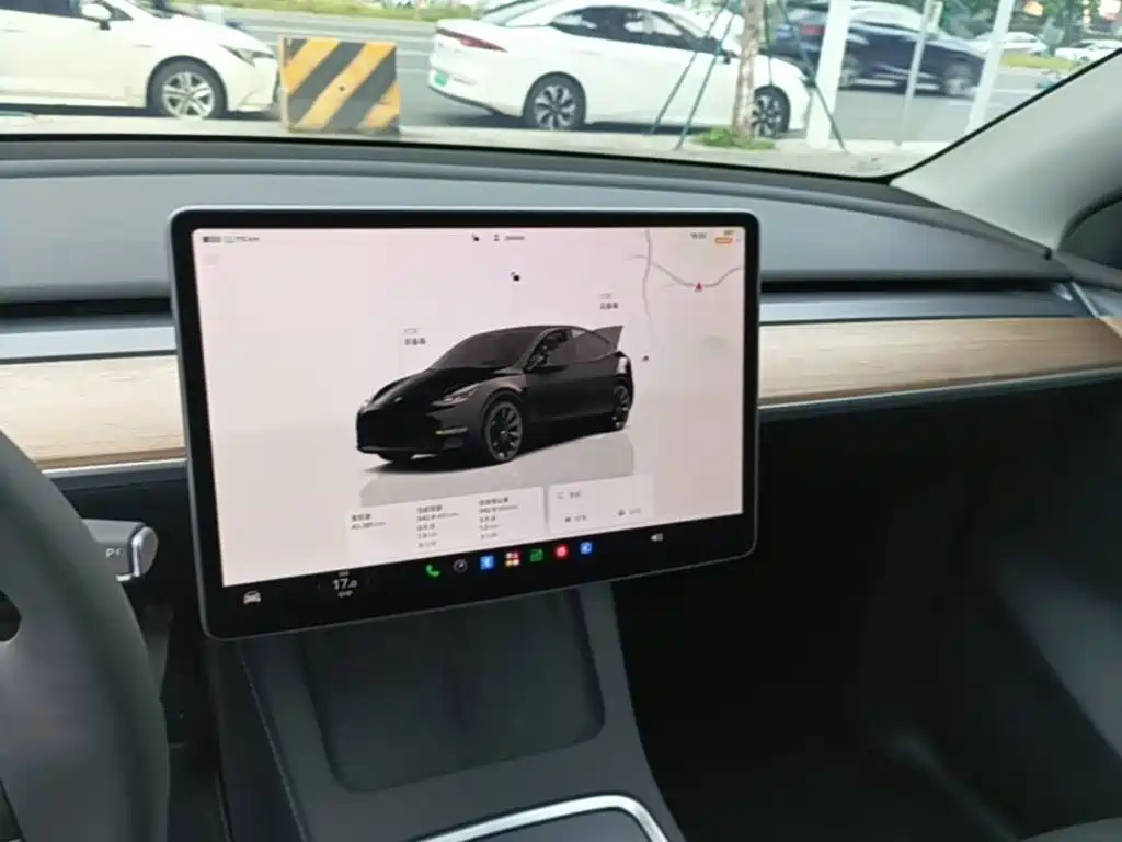Tesla Model Y — фото 13