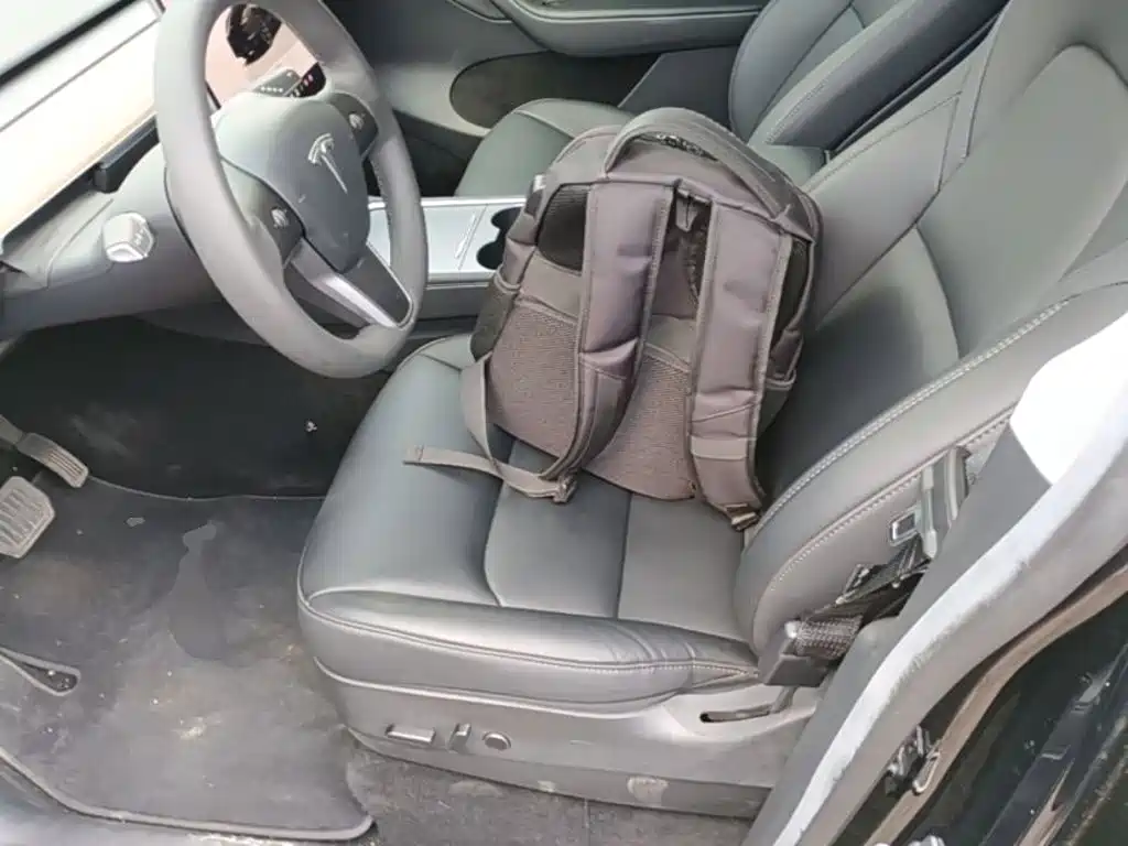 Tesla Model Y — фото 15