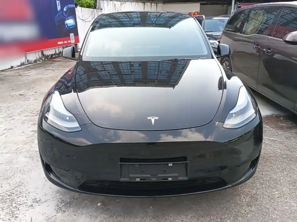 Tesla Model Y — фото 3