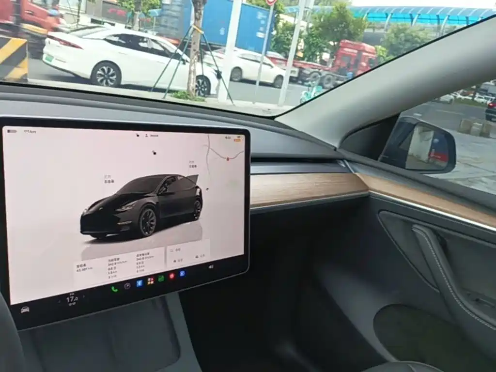 Tesla Model Y — фото 10
