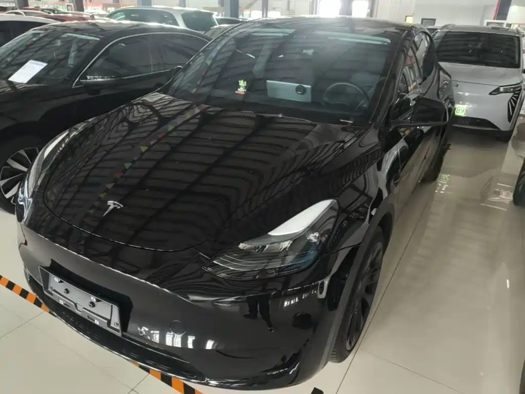 Tesla Model Y — фото 2