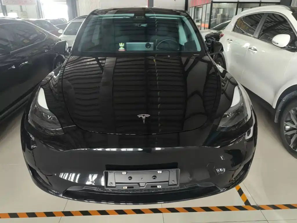 Tesla Model Y — фото 3