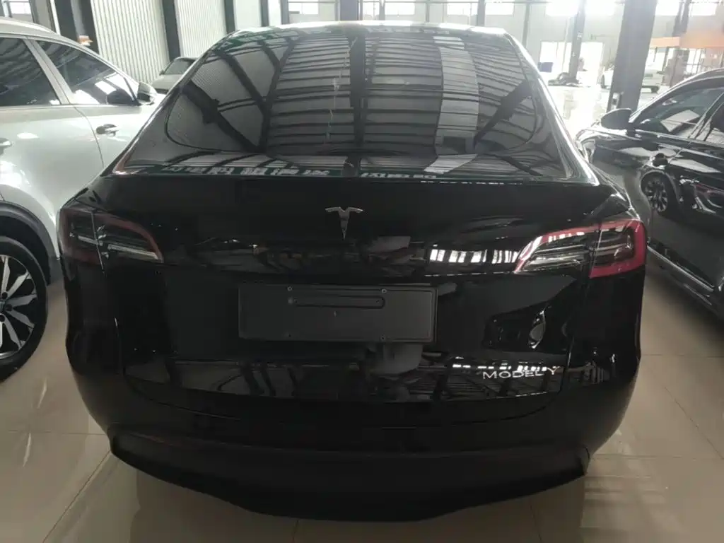 Tesla Model Y — фото 6