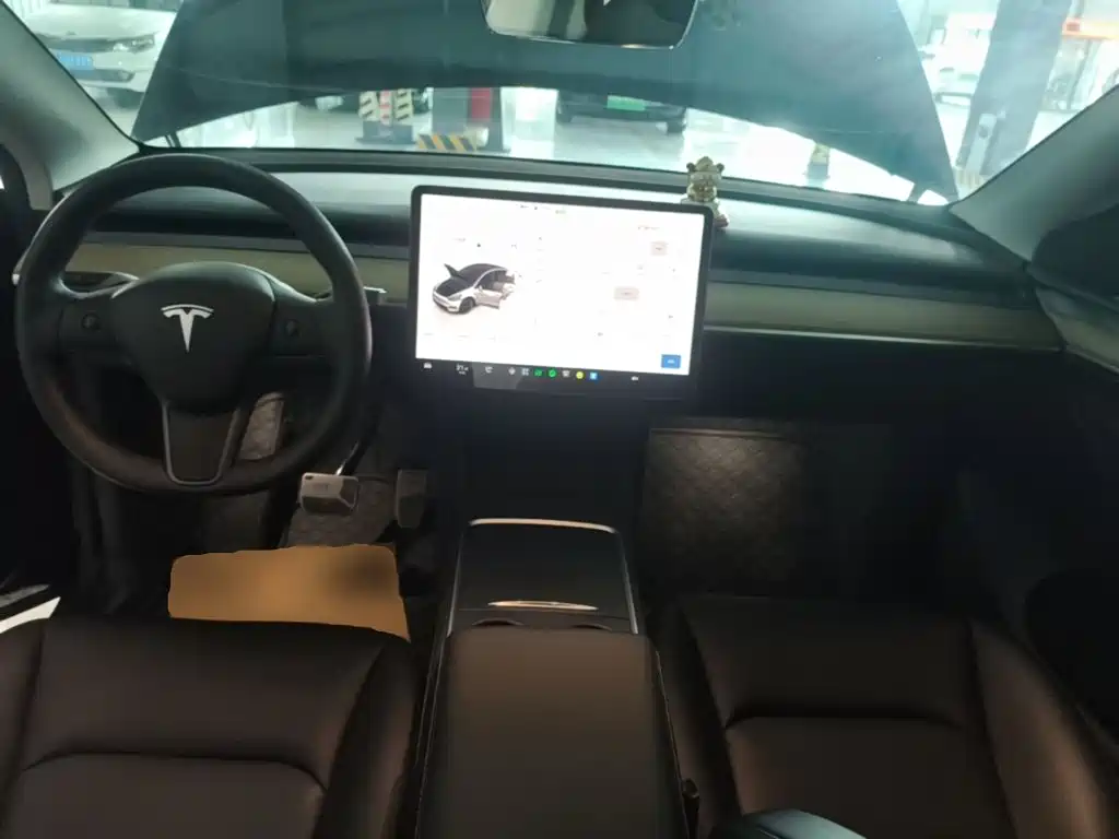 Tesla Model Y — фото 10