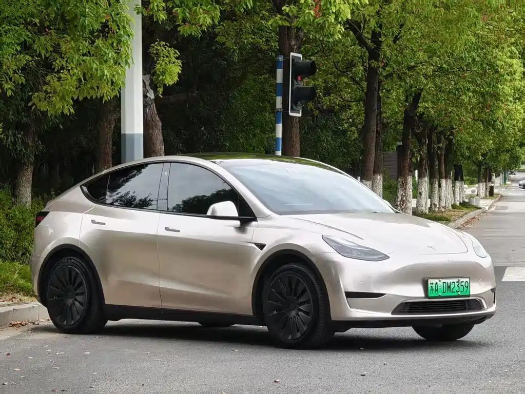 Tesla Model Y — фото 3