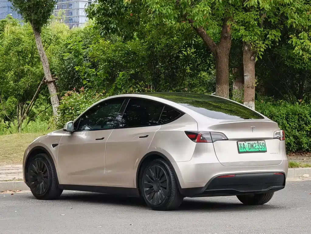 Tesla Model Y — фото 9