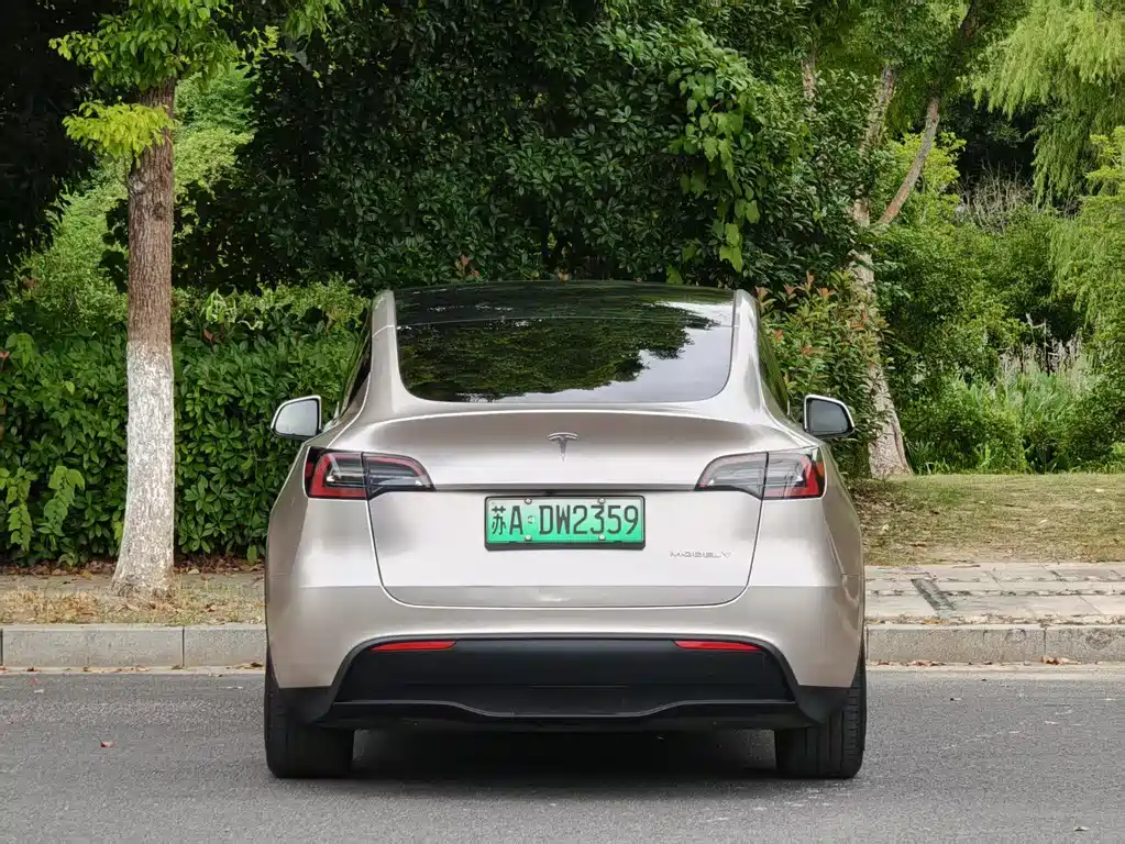 Tesla Model Y — фото 10