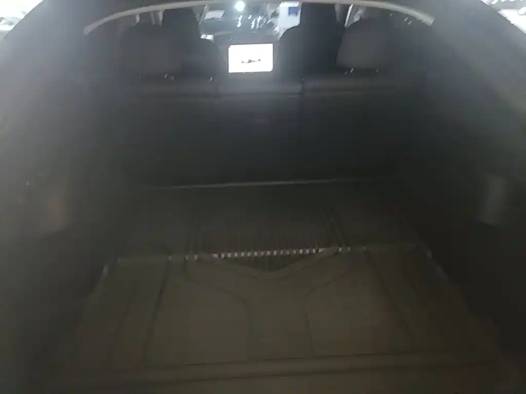 Tesla Model Y — фото 19