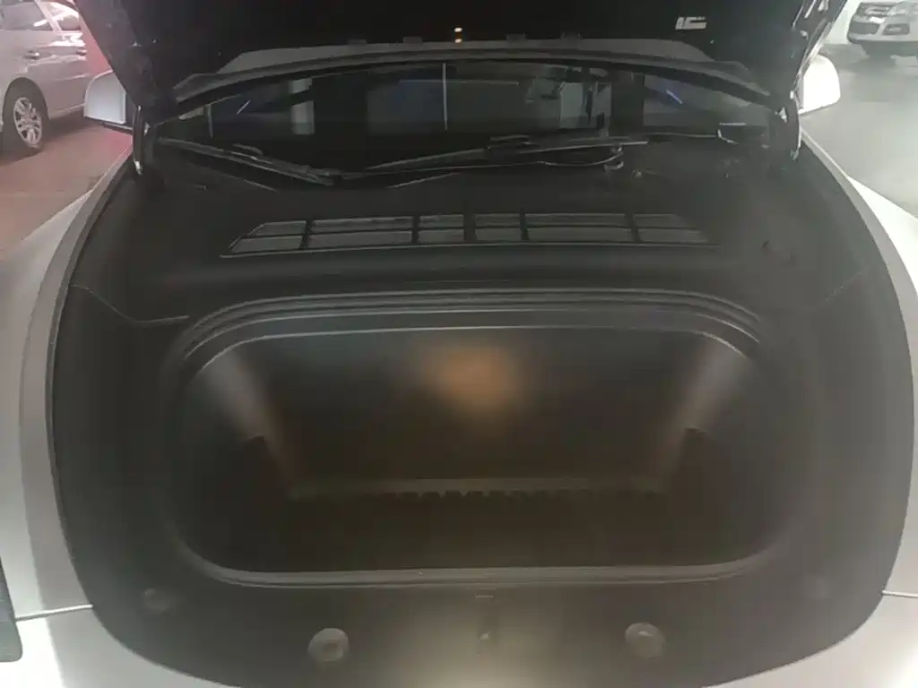 Tesla Model Y — фото 20