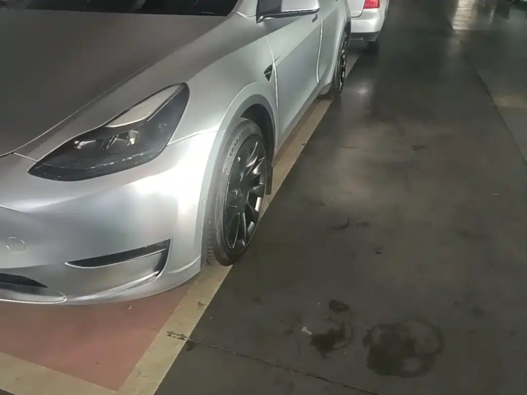 Tesla Model Y — фото 23