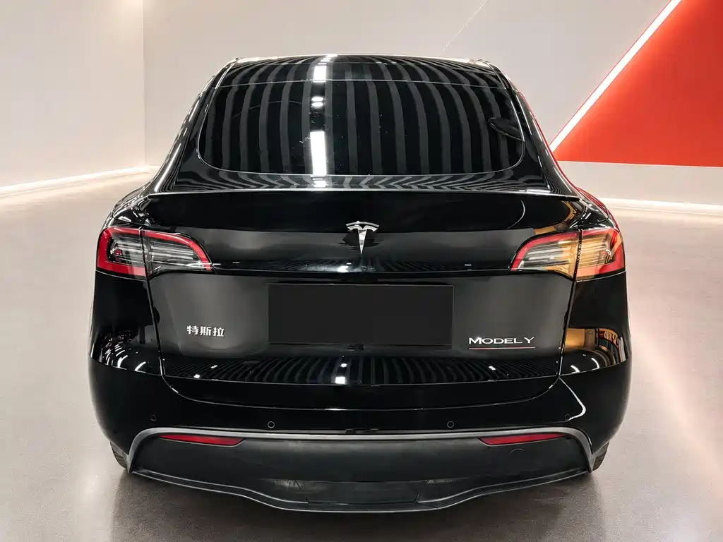 Tesla Model Y — фото 5