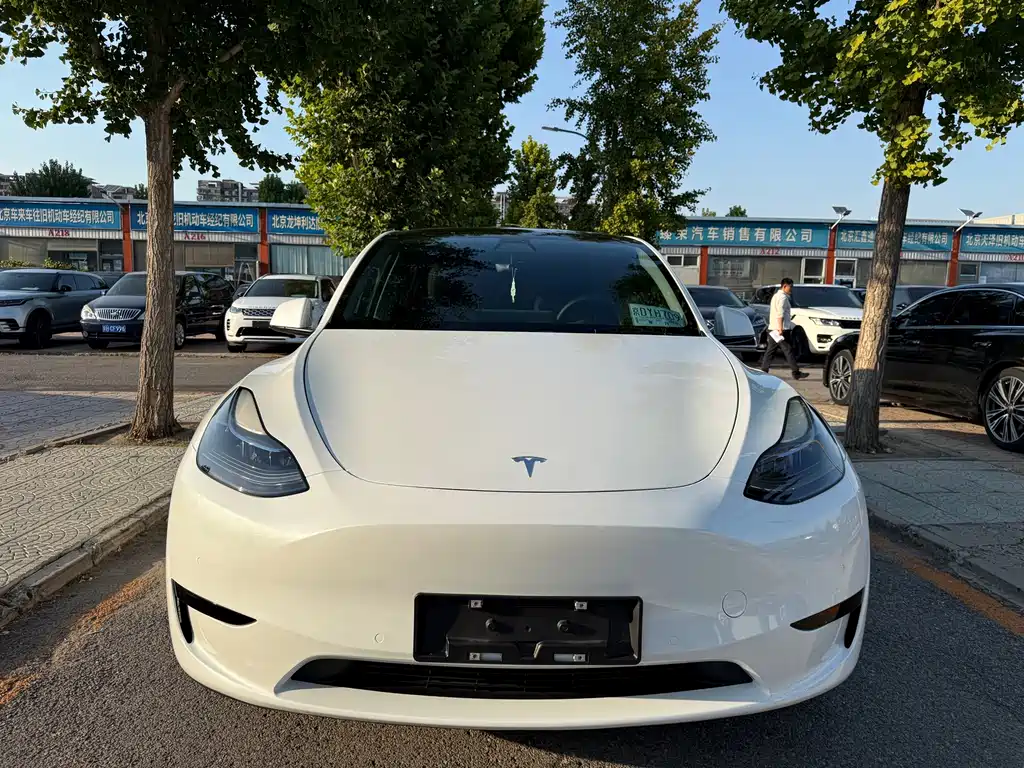 Tesla Model Y — фото 2