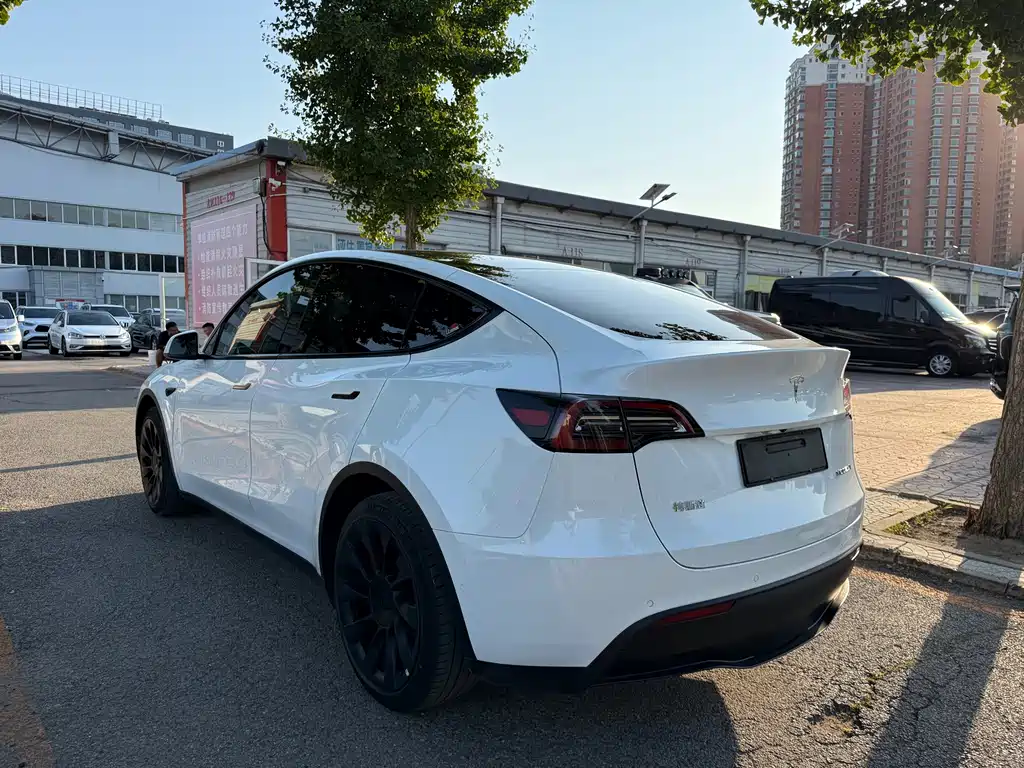 Tesla Model Y — фото 11