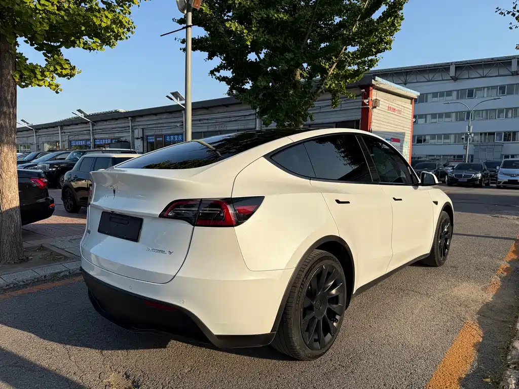 Tesla Model Y — фото 13