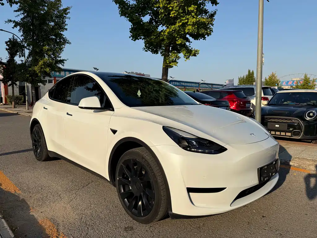 Tesla Model Y — фото 3