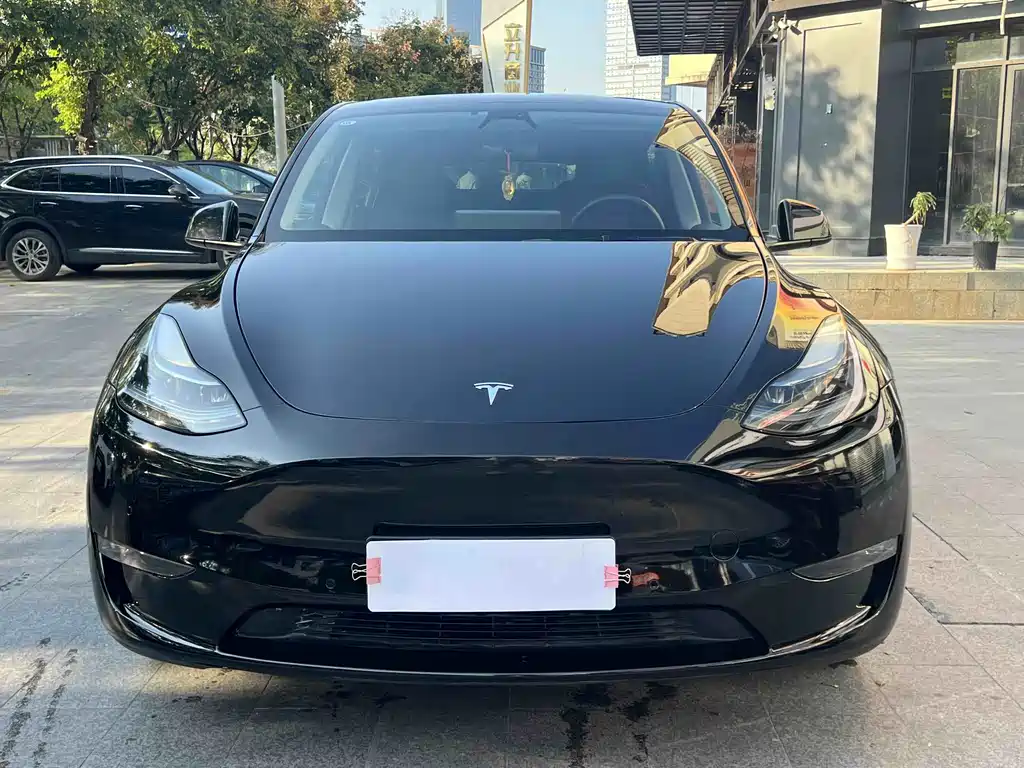 Tesla Model Y — фото 2