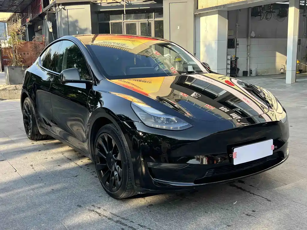 Tesla Model Y — фото 3
