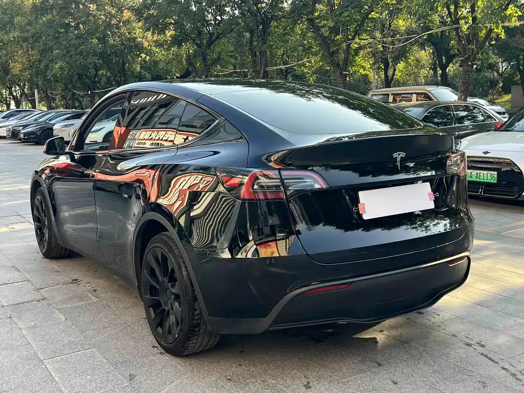 Tesla Model Y — фото 8