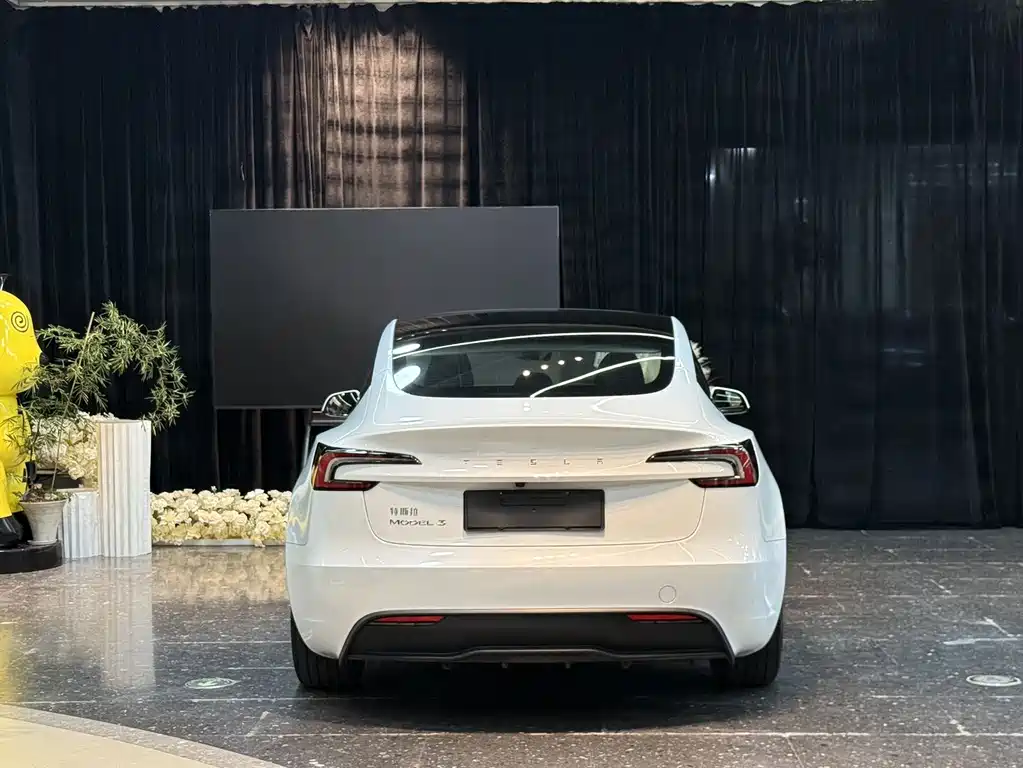 Tesla Model 3 — фото 13