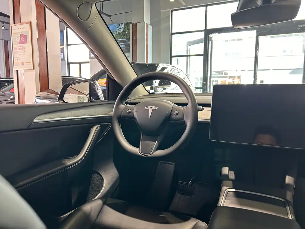 Tesla Model Y — фото 21