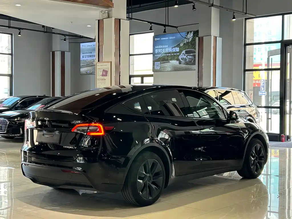 Tesla Model Y — фото 24