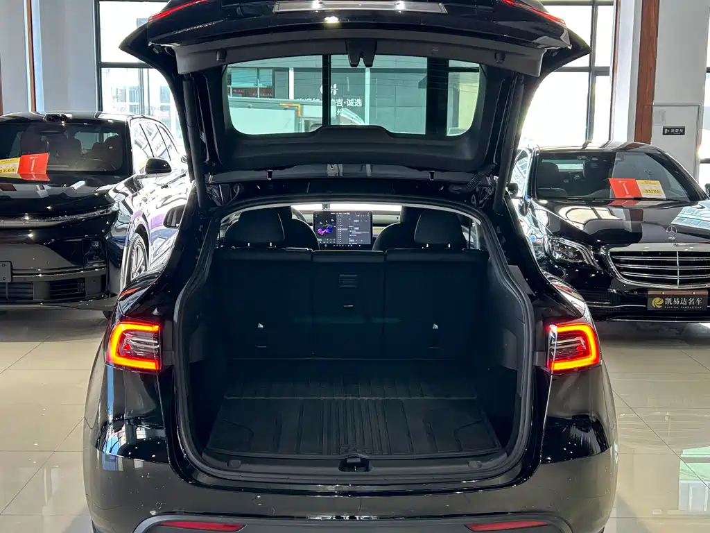 Tesla Model Y — фото 25