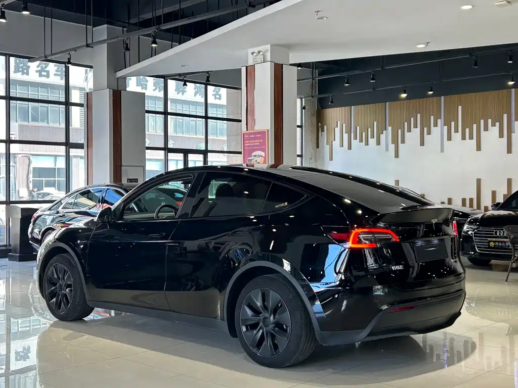 Tesla Model Y — фото 27