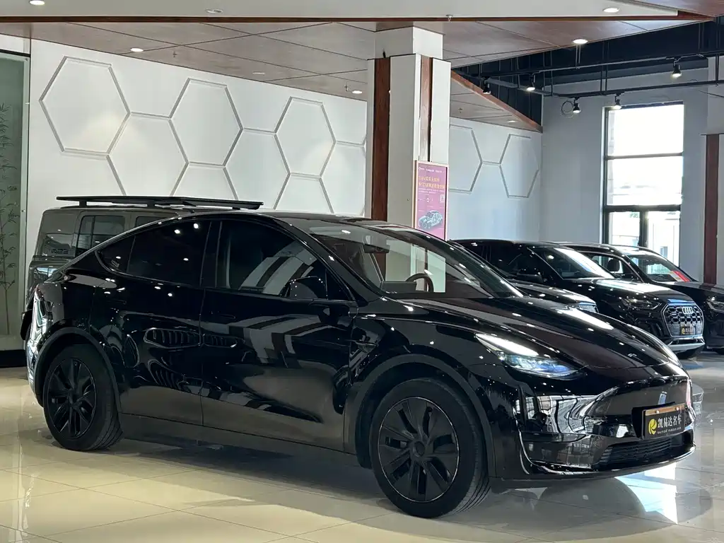 Tesla Model Y — фото 4