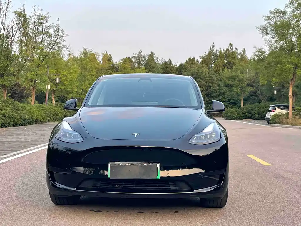 Tesla Model Y — фото 2