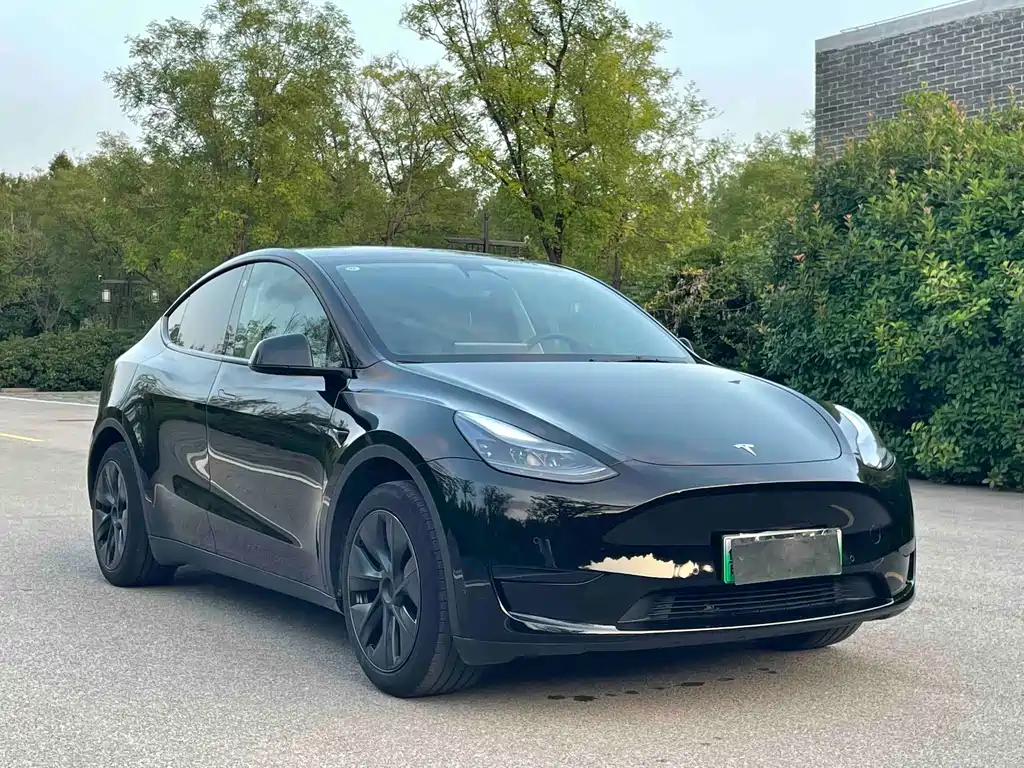 Tesla Model Y — фото 3
