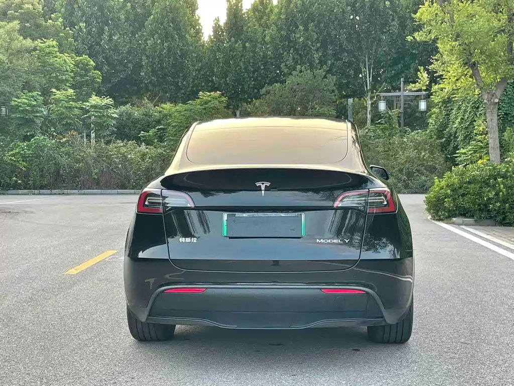 Tesla Model Y — фото 5