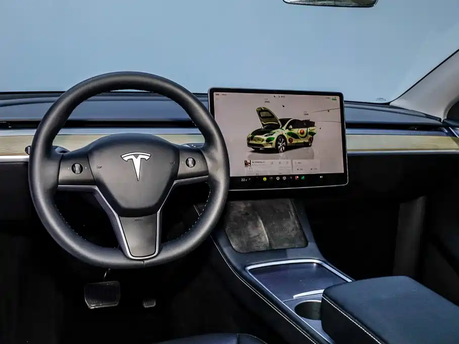 Tesla Model Y — фото 19