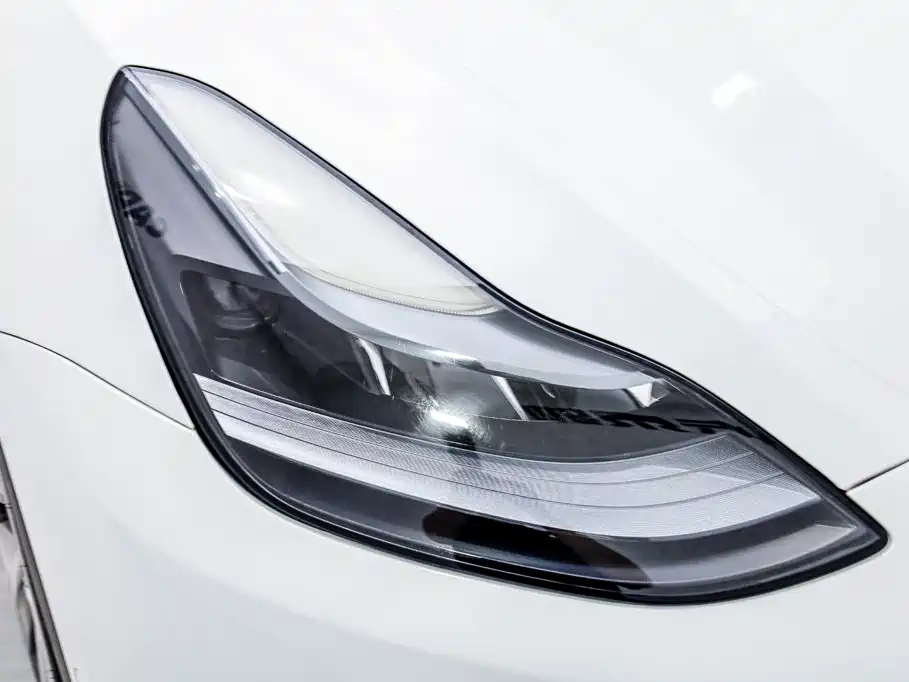 Tesla Model Y — фото 31
