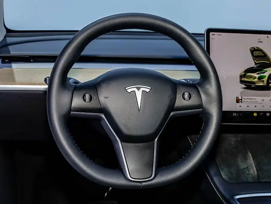 Tesla Model Y — фото 20