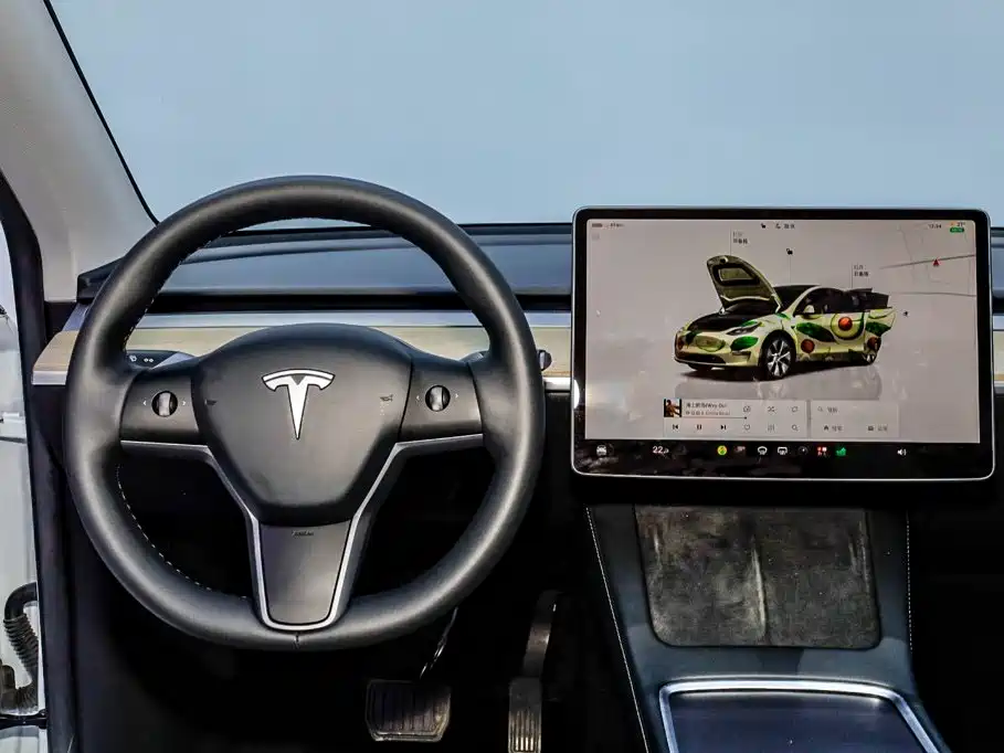 Tesla Model Y — фото 22