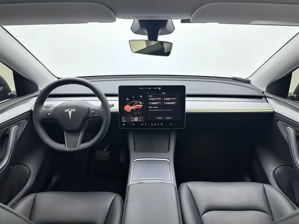 Tesla Model Y — фото 14
