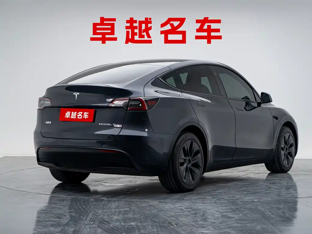 Tesla Model Y — фото 6