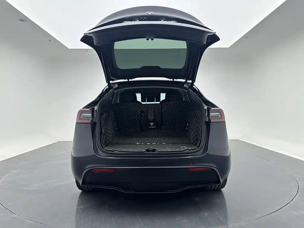 Tesla Model Y — фото 10
